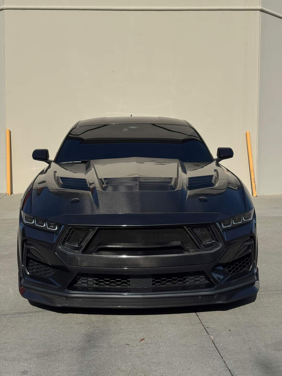 2024-2026 Mustang GT3 Carbon Fiber Front Bumper Grille