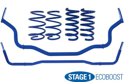 2015-2021 Mustang EcoBoost Steeda Stage 1 Handling Package Sport Progressive