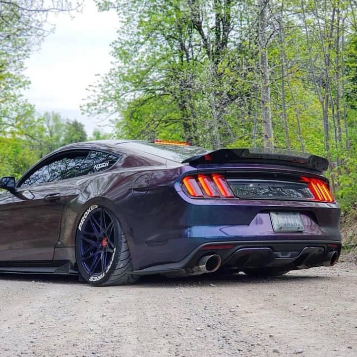 2015-2021 Mustang GT Track Pack and Mustang GT350 ZL1 Addons Track Pack Wicker Bill