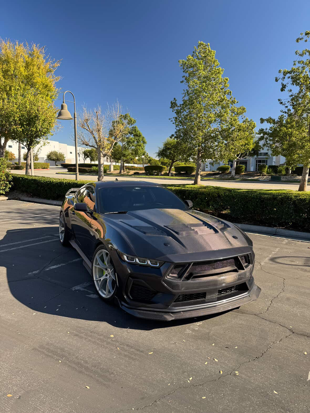 2024-2026 Mustang GT3 Carbon Fiber Front Bumper Grille