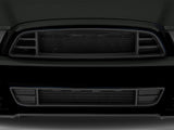 2013-2014 Cervini's GT500 Style Lower Grille