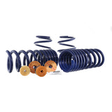 2024-2025 Ford Performance Mustang 5.0L Track Lowering Springs - Coupe