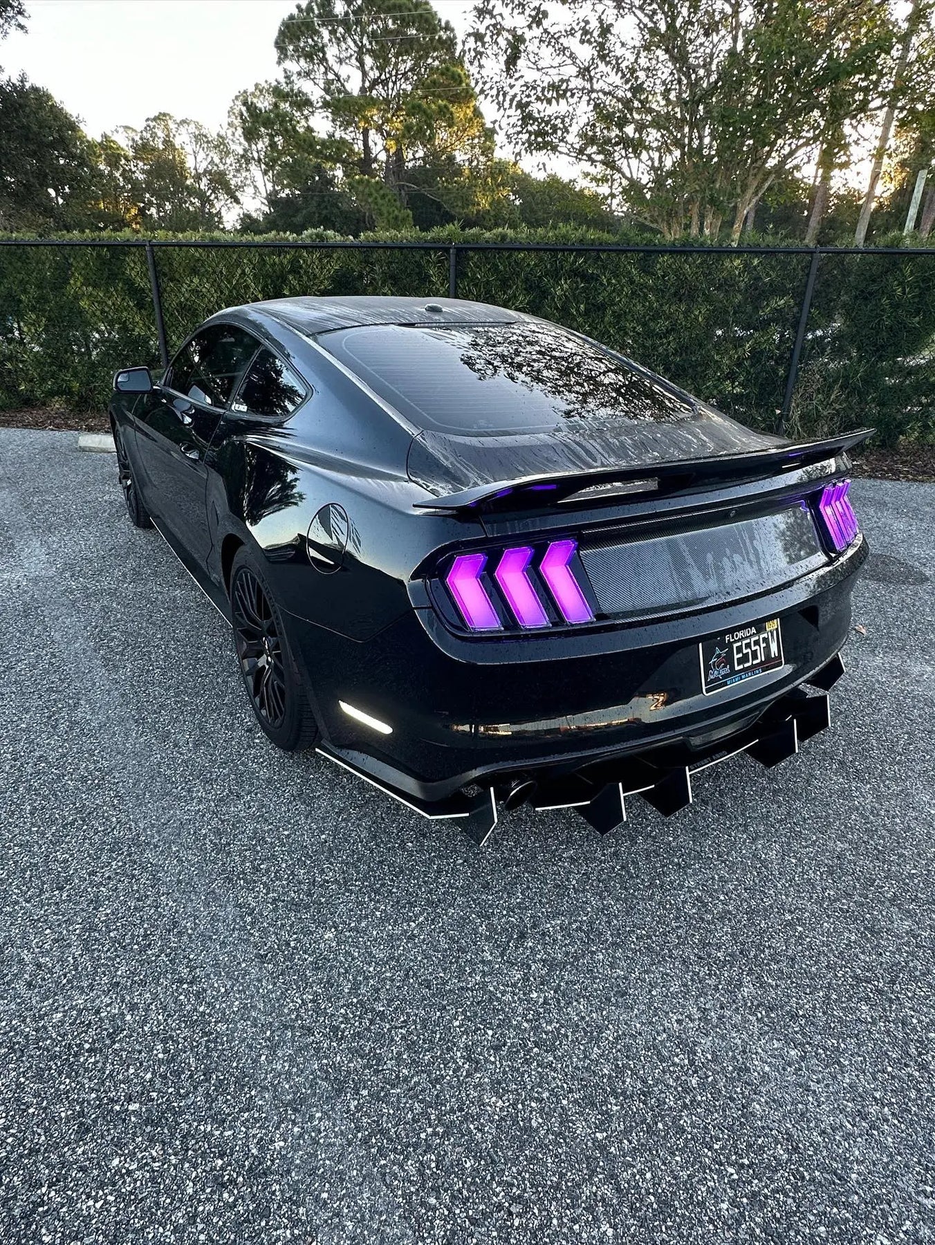 2024 Mustang Style Clear Euro Taillight Fits 2015-2023 Mustang