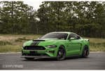 2018-2023 Mustang Cervinis Stalker Hood