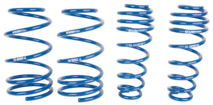 2005-2014 Roush Lowering Springs