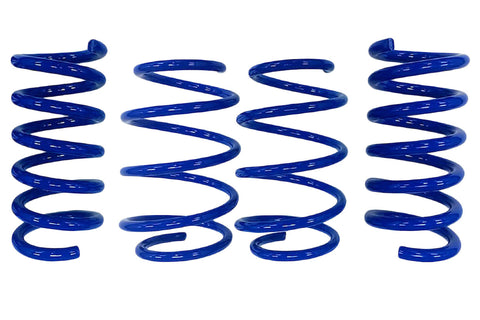 2015-2025 Steeda Mustang GT Magneride Drag Springs - Linear