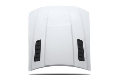 1999-2004 Mustang Cervinis Stalker 2 Hood