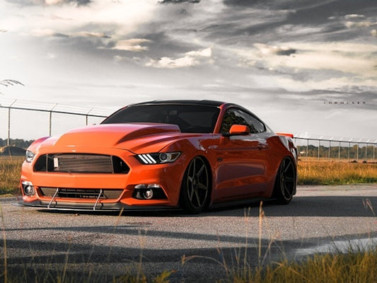 Carter's Customs S550 Performance Pack Splitter