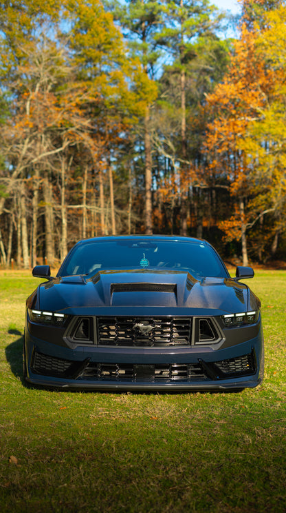 2024 Terminator Hood Mustang Double Sided Dry Carbon Fiber