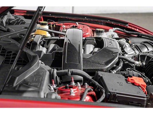 2024-2025 Mustang GT, Dark Horse Strut Tower Brace; Carbon Fiber