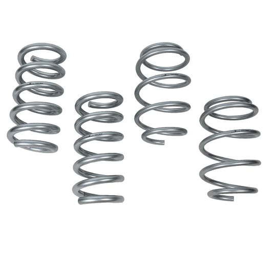 2015-2023 Mustang J&M Sport Springs - Minimal Drop, Chrome Silicon Steel