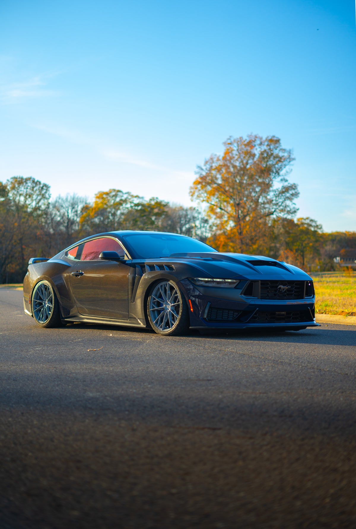 2024 Terminator Hood Mustang Double Sided Dry Carbon Fiber