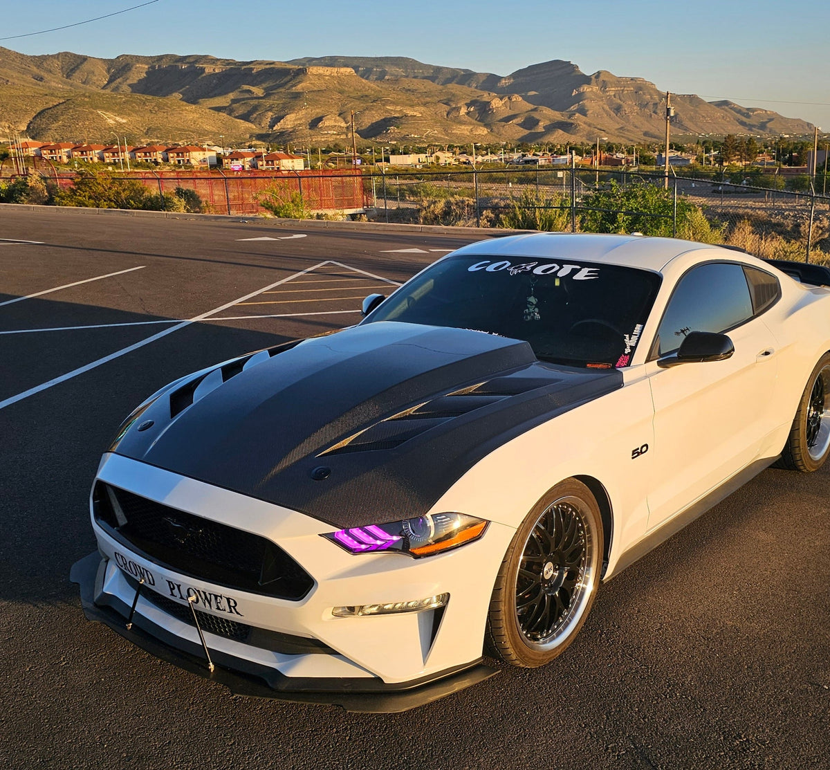 MAZ Viper AMS Carbon Fiber Hood for Ford Mustang 2015-2023 – 2x2 Twill Weave Lightweight Upgrade