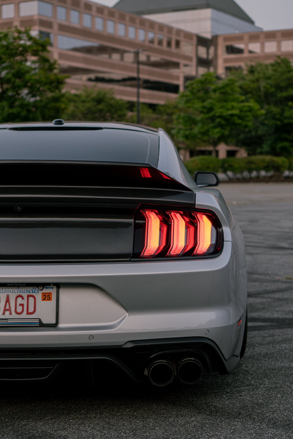2015-2023 Mustang Carbon Fiber Ducktail Trunk