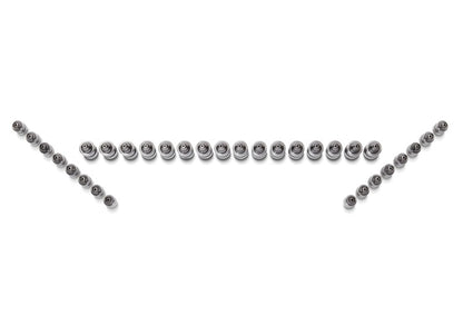 Ford Racing Ford GT and Mustang SVT 5.4L Lash Adjusters