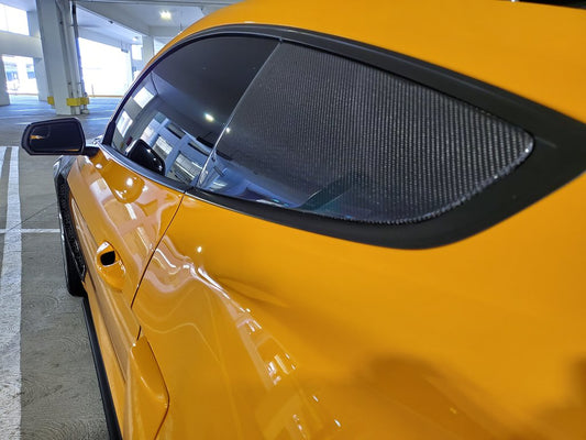 2015-2023 MUSTANG CARBON FIBER TYPE-FLAT SIDE WINDOW LOUVERS (PAIR)