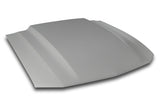 2005-2009 Mustang Cervinis Cobra R Hood