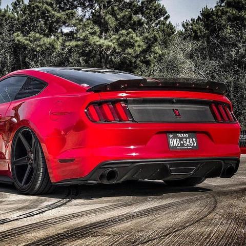 2015-2021 Mustang ZL1 Addons Track Pack Carbon Fiber Wicker Bill