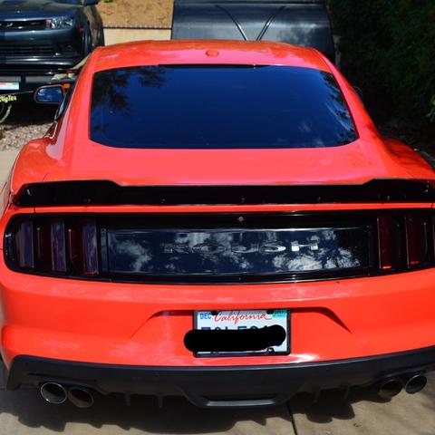 2015-2018 Mustang Roush ZL1 Addons Roush Wicker Bill